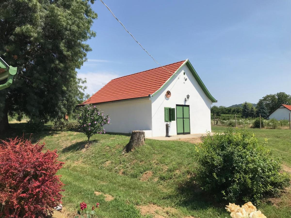Apartament Joe Bacsi Rezidenciaja Kisharsány Zewnętrze zdjęcie